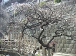 20080223_1
