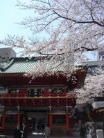 Tv_20080328_1