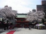Tv_20080328_3_2