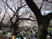 Tv_20080328_11