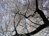 Tv_20080328_12