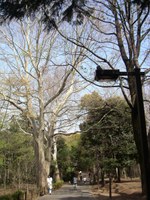 Shi_080405_01