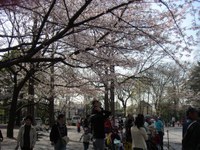 Shi_080405_03