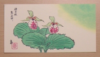 20080515_4