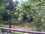 Tv_20080810_15