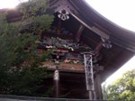 Tv_20080811_11