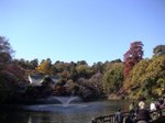 Tv_20081011_02_640x480