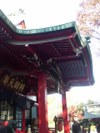 Tv_20081011_03_480x640
