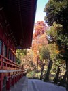 Tv_20081011_04_480x640