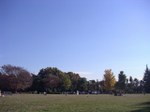 Tv_20081011_05_640x480