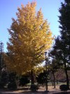 Tv_20081011_06_480x640