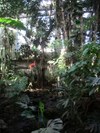 Tv_20081011_13_480x640