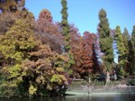 Tv_20081011_14_640x480