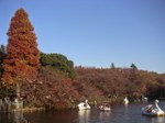 Tv_20081011_16_640x480