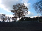 20081126_3
