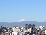 20081207