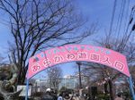 Tv_20090329_05