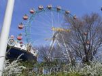 Tv_20090329_06