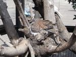Tv_20090329_08