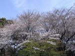 Tv_20090329_09