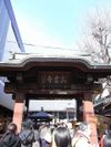 Tv_20090329_13
