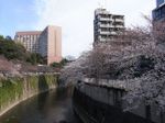 Tv_20090329_16