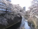 Tv_20090329_17