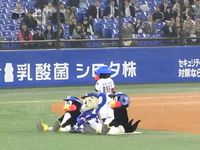Tv_20090409__5