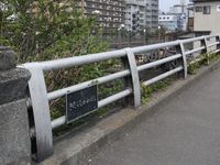 Tv_20090412_15