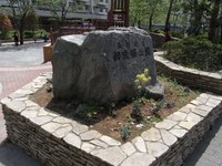 Tv_20090419_10