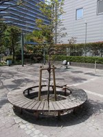 Tv_20090419_14