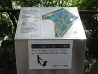 Tv_20090419_19