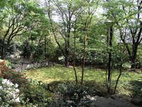 Tv_20090419_20