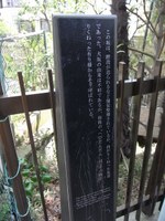 Tv_20090426_07