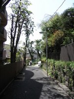 Tv_20090426_09