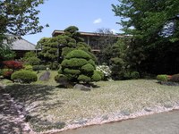 Tv_20090426_13