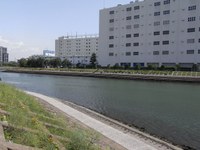 Tv_20090426_15