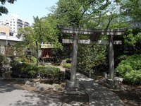 Tv_20090426_26