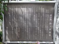 Tv_20090426_28