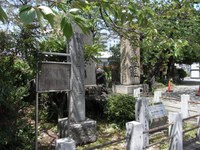 Tv_20090426_29