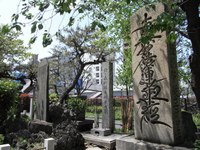 Tv_20090426_31