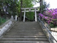 Tv_20090429_06