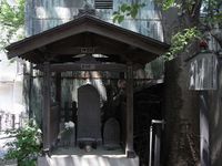 Tv_20090429_15