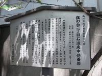Tv_20090429_16