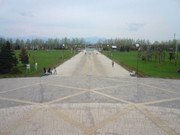 20090503_1
