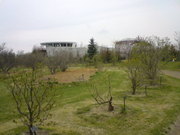 20090503_2