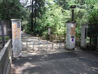 Tv_20090509_06