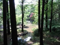 Tv_20090509_07
