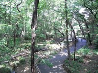 Tv_20090509_08