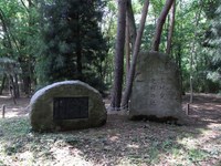 Tv_20090509_09